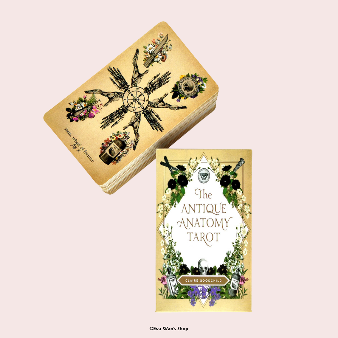 The ANTIQUE ANATOMY TAROT