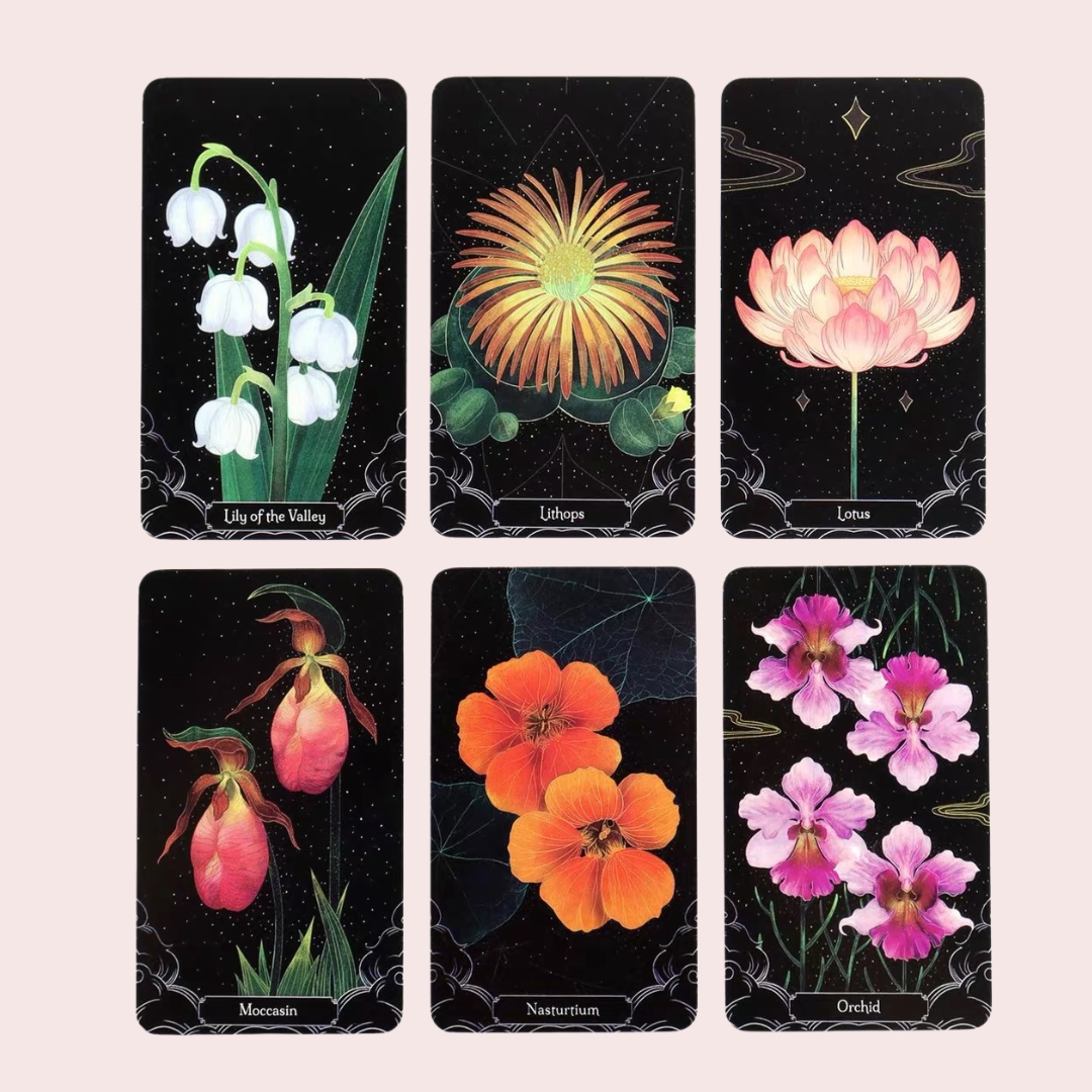 Cartas del Oráculo A Little Rain