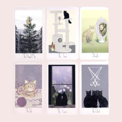 Cartas del Tarot Considerate Cat